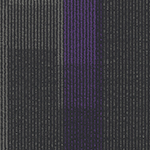 Royal Purple