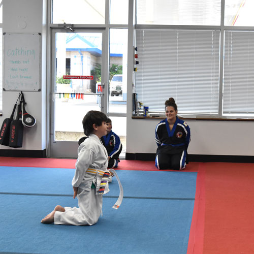 thick flexible roll up mats for karate studio