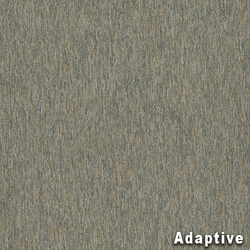 Streaming Commercial Carpet Tiles Adaptive full.