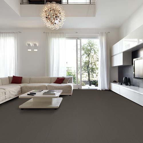 Colorburst Commercial Carpet Tiles 24x24 inch Carton of 18 Living Room Install