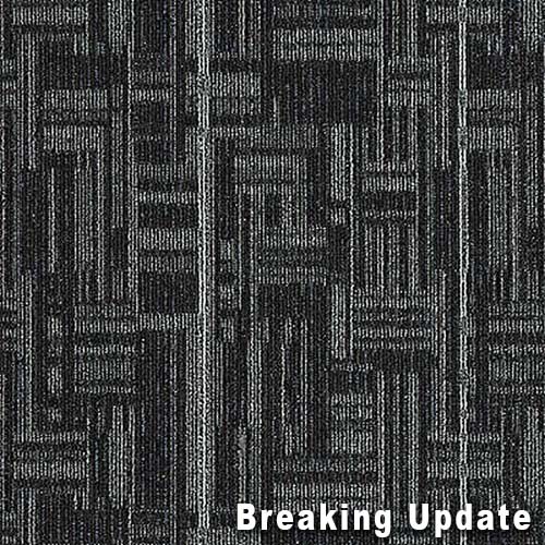 Daily Wire Commercial Carpet Tiles 24x24 Inch Carton of 24 Breaking Update Full