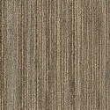 Intellect Commercial Carpet Tiles scholarly intellect swatch.
