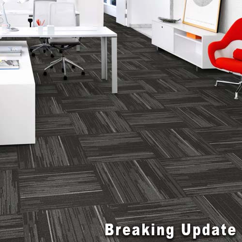 Online Commercial Carpet Tiles 24x24 Inch Carton of 24 Breaking Update Install