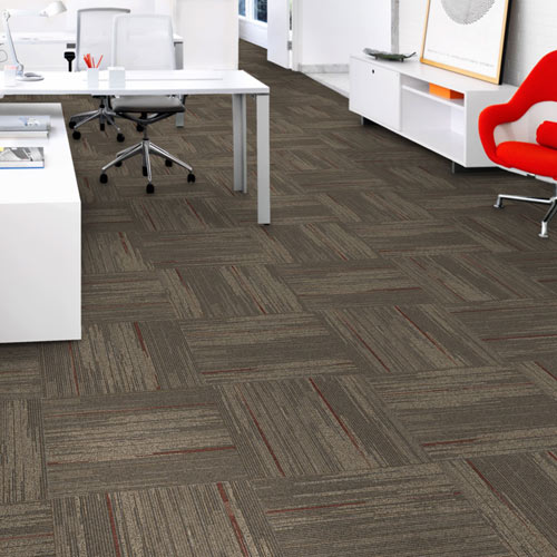 24x24 carpet 2025