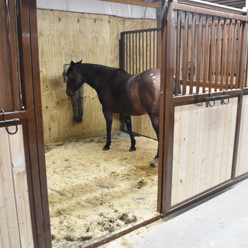 Use Stall Bedding to Help Keep Stall Dry