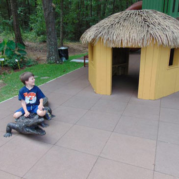Dothan Area Botanical Gardens Children's Jungle Garden Playground 12