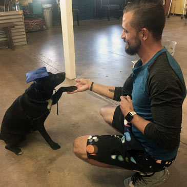 Dog Trainer Jeremy Brown