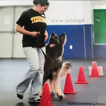 Dog Trainer Leigh Sylvester 3