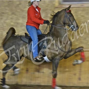 Horse Trainer Beth Harris 2