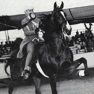 Horse Trainer Beth Harris