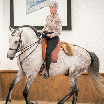 Frances Carbonnel 2017 National Horse Trainer of the Year Nominee