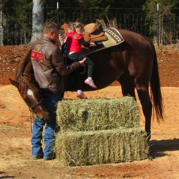 Horse Trainer TR Potts 2