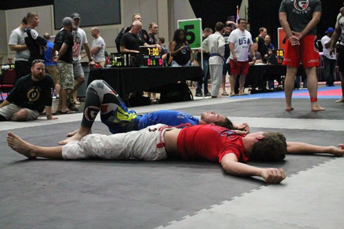 Puzzle Grappling Mats