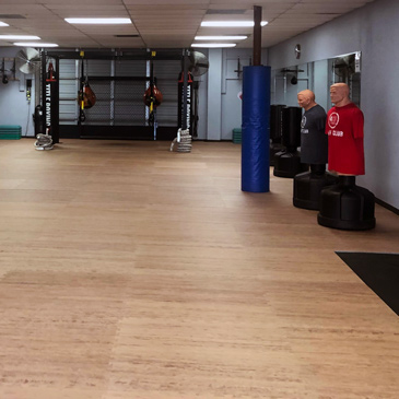 Fitness Boxing for Parkinson's Flooring