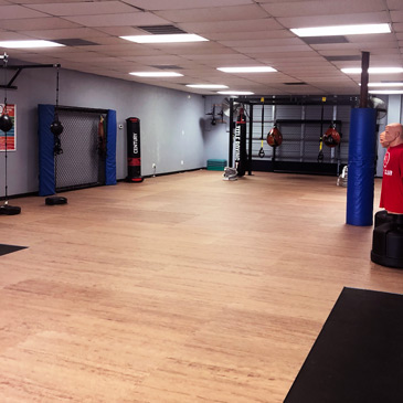 Fitness Boxing for Parkinson's Disease Flooring
