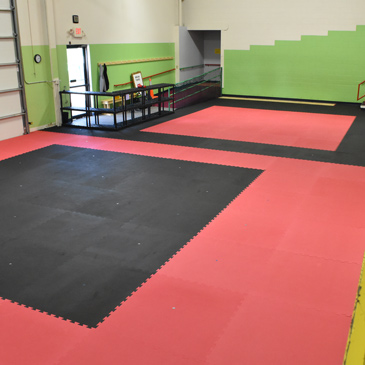 Taekwondo training surface