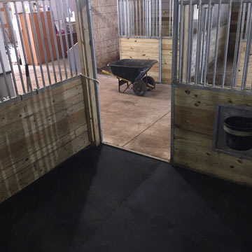 Cleaning Horse Stalls