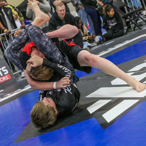 2016 AGF Nationals Greatmats