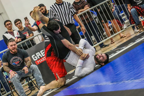 2017 AGF Winter Classic Greatmats