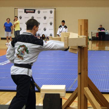 breaking boards with a palm heel strike