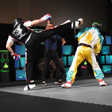 Championship Sparring Mats - Alex Dingman