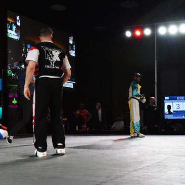 Point Sparring Ring Mats - Alex Dingmann