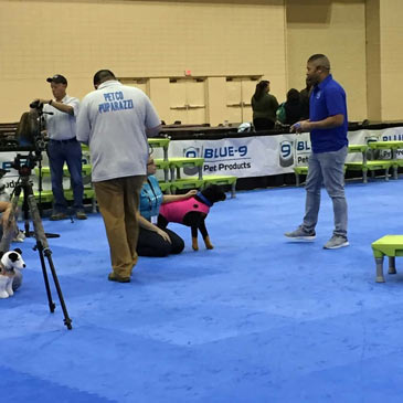 Association of Professional Dog Trainers 2018 Conference with Greatmats