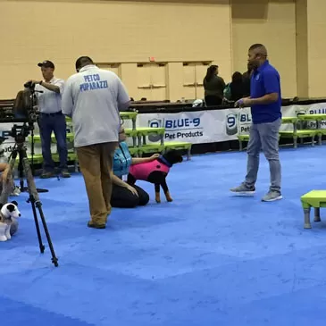 Association of Professional Dog Trainers