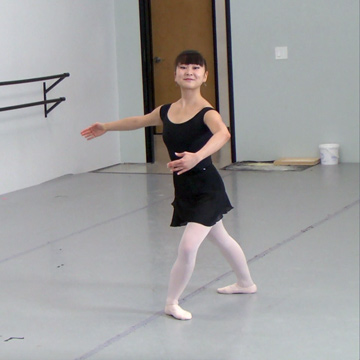 ballet vinyl floor st. paul