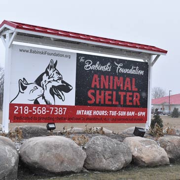 The Babinski Foundation Sign