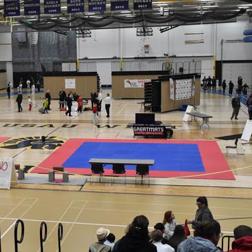 Taekwondo Ring Flooring - Wausua, Wisc.