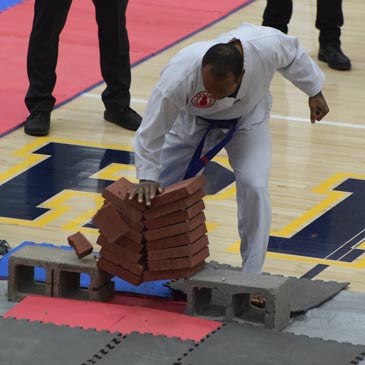 Taekwondo Brick Breaking Mats - Badger State Games Palm Heel Strike
