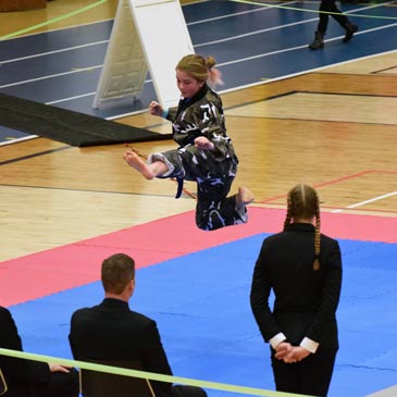 taekwondo flying kick hyeong mats