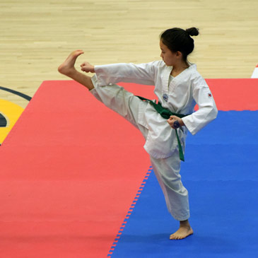 Taekwondo form mats - front kick