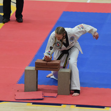 Palm heel brick breaking Taekwondo Matting