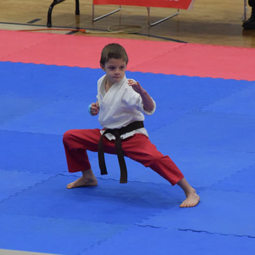 Taekwondo Horse Stance Form Competition matting