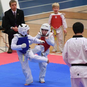 taekwondo competition mats