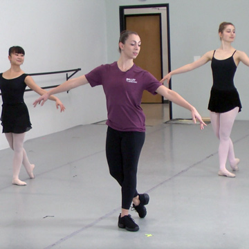 ballet vinyl sheets ballet co laboratory