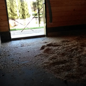 rubber stall mats with bedding