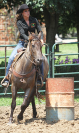 barrel racing on a horse