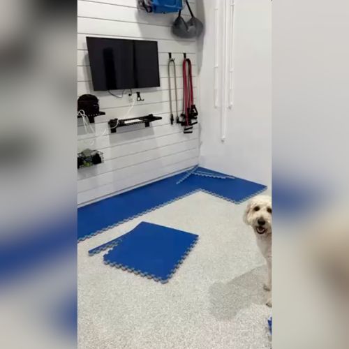 foam mats for garage gym