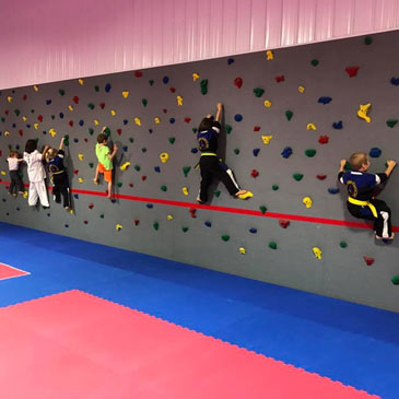 Climbing Wall Mats