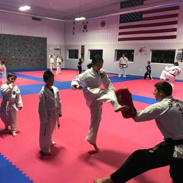 Taekwondo Puzzle Mats