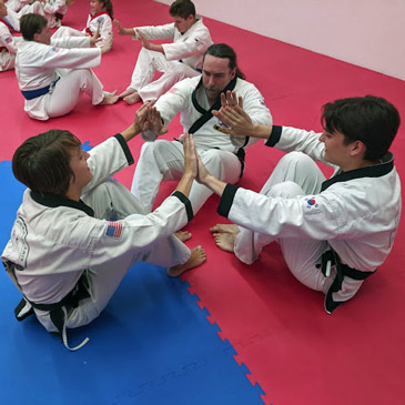 Tang Soo Do School Matting