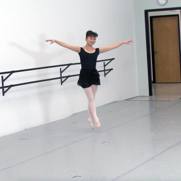 ballet flooring marley bravura