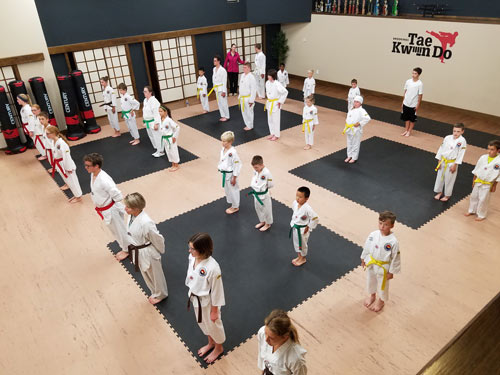 Taekwondo Puzzle Mats at Brookings TKD