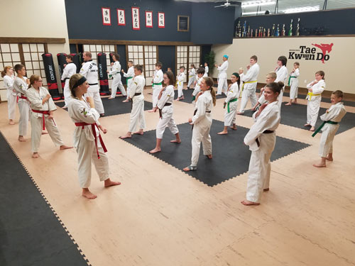 Taekwondo Dojang Mats with Competition Rings