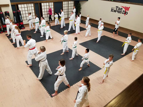 Taekwondo Dojang Mat Layout