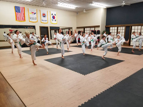 Wood taekwondo mats