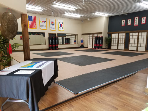 rubber mat for taekwondo